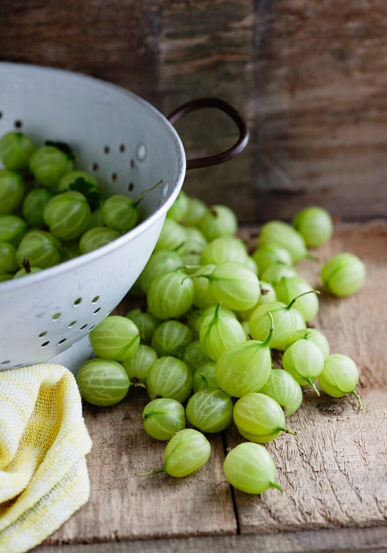 Gooseberries in a white colander and on a wooden surface