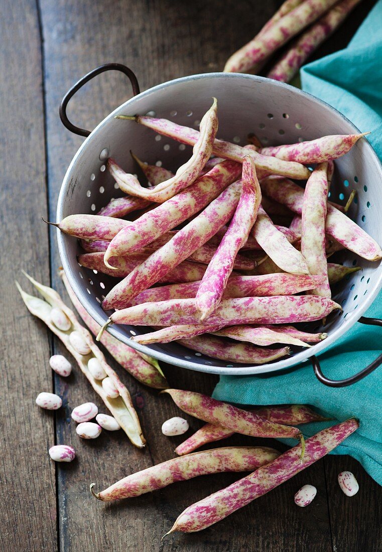 Borlotti bean pods in a white colander