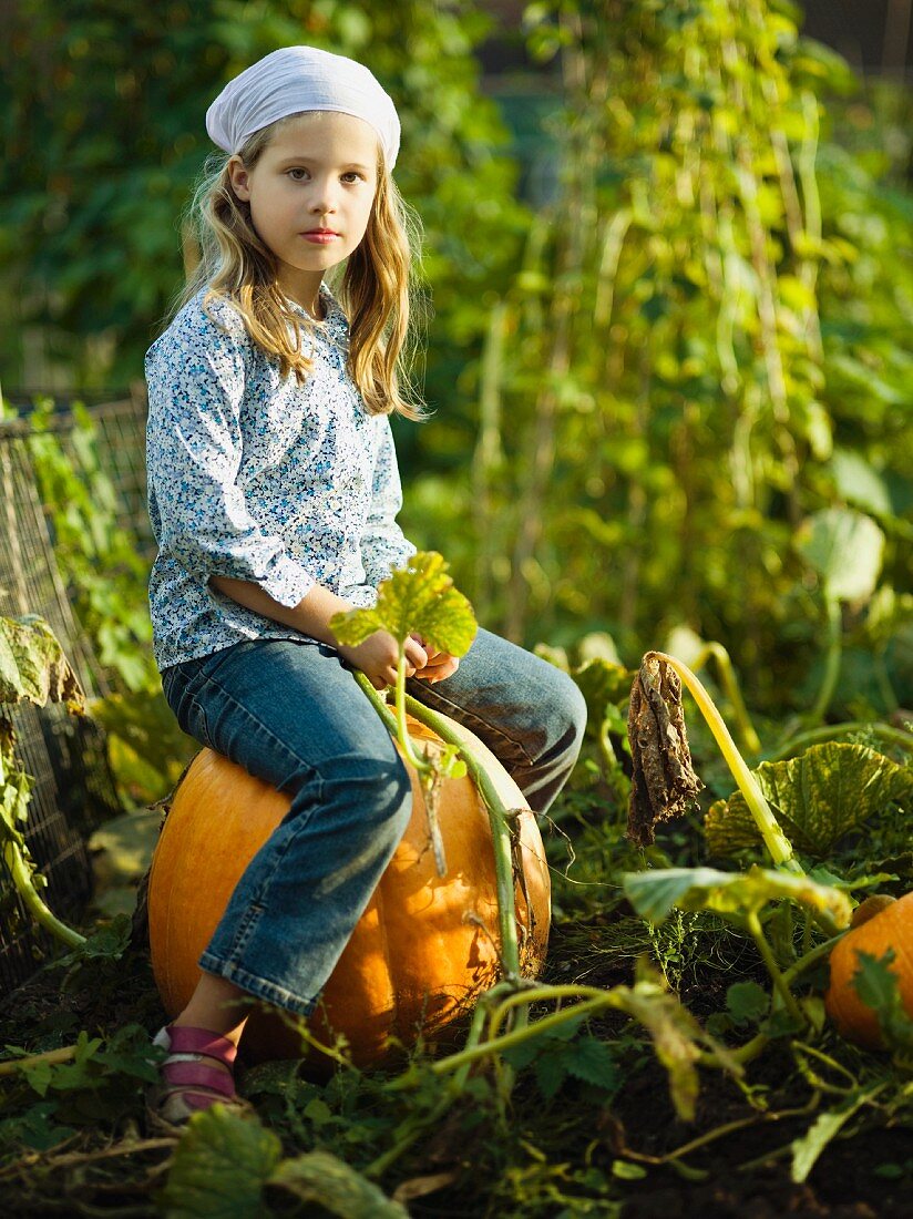 Young girl sitting on a pumpkin