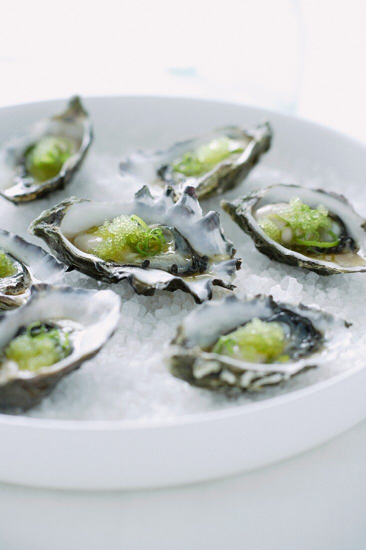 Oysters with wasabi and lime zest
