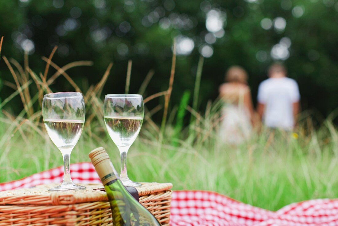 Weissweingläser beim Picknick