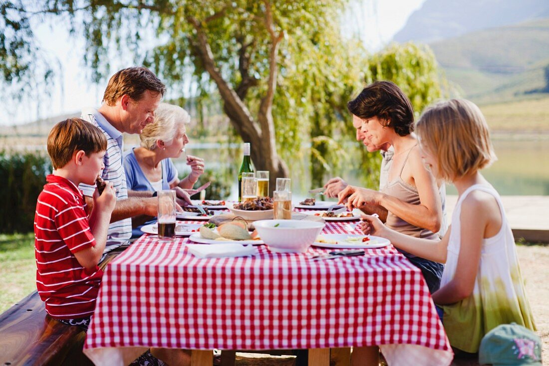 Multi generation family having a picnic