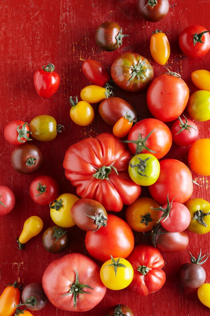 Various tomatoes (seen from above)