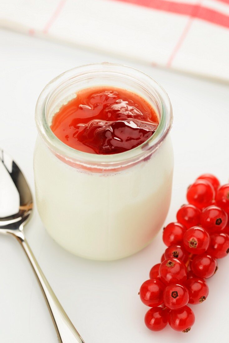 Natural yogurt with redcurrant jelly in a glass with fresh redcurrants