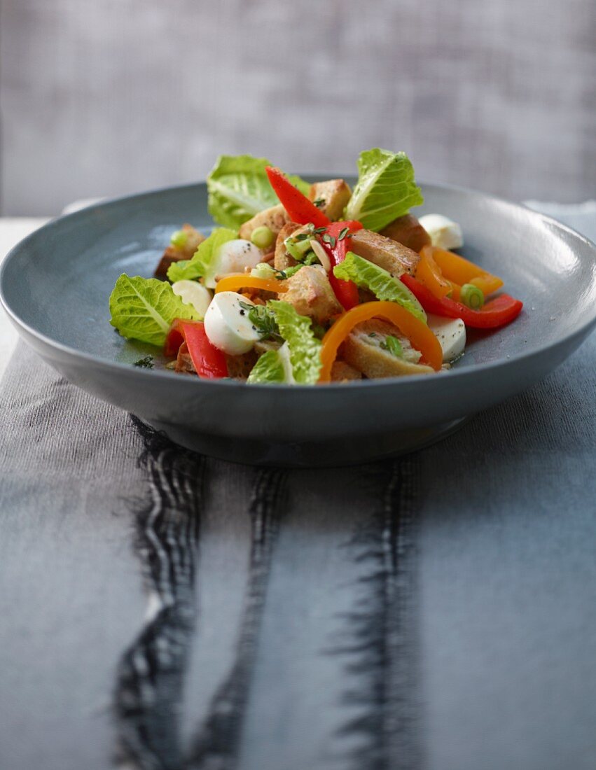 Panzanella (bread salad with fennel salami and balsamic vinegar, Italy)