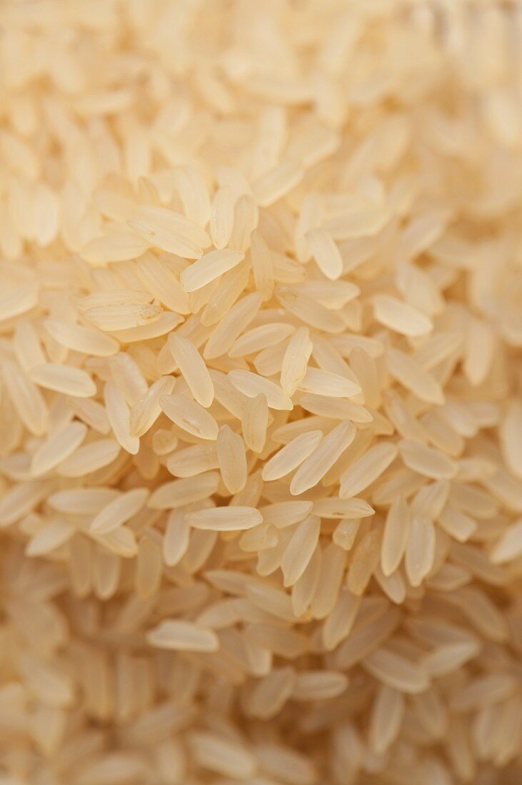 Long grain rice (full frame)