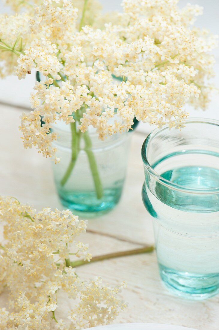 Elderflowers in a glass of water