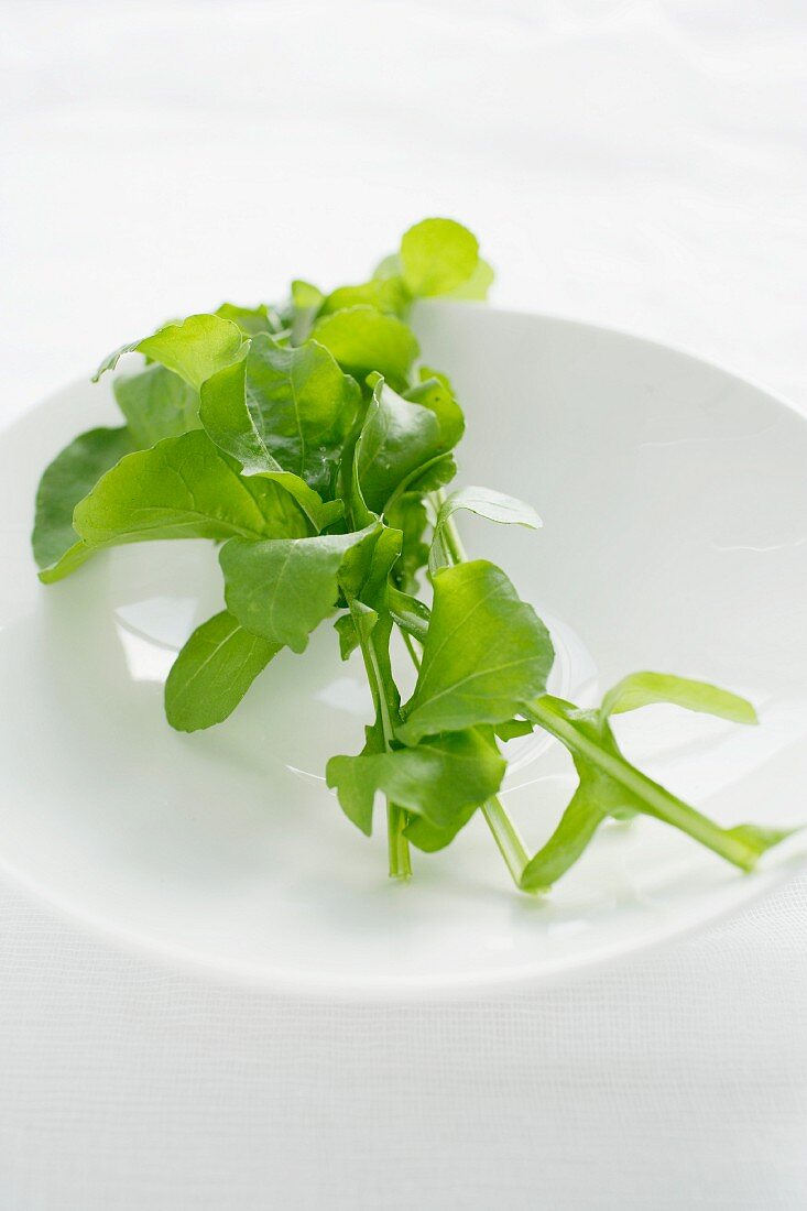 Rucola auf Teller