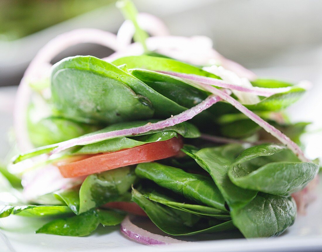 Spinach Salad with Onion and Tomato; Close Up