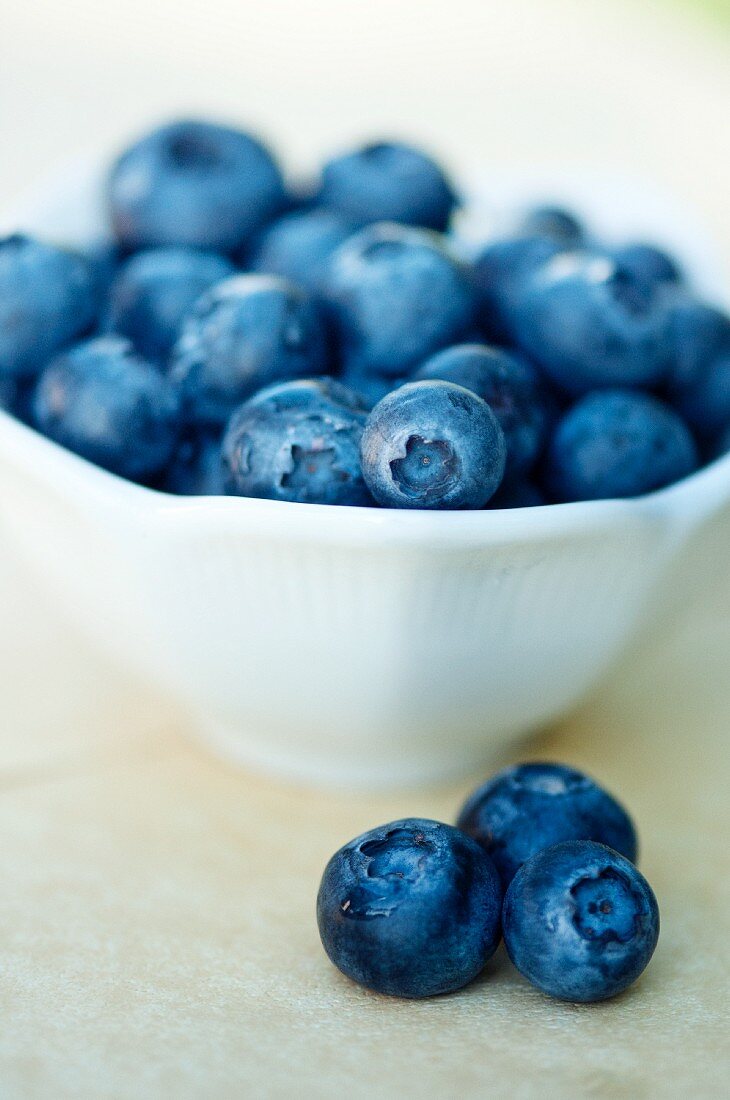Bowl of Fresh Blueberries