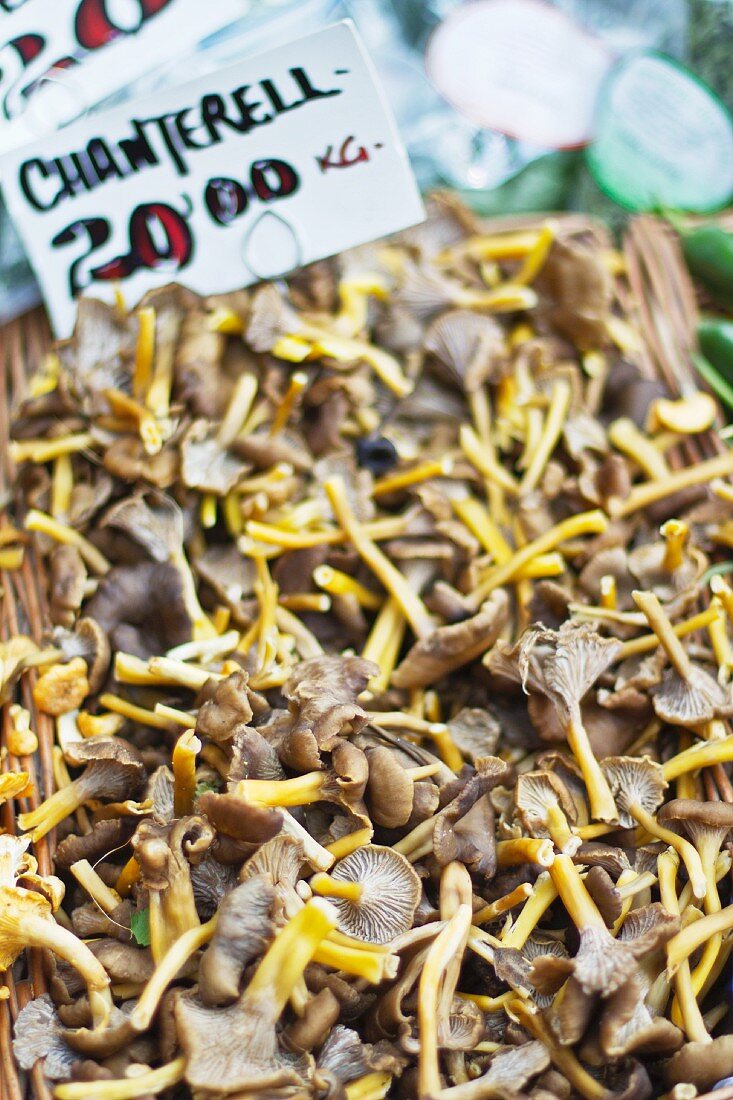 Fresh chanterelle mushrooms at a market