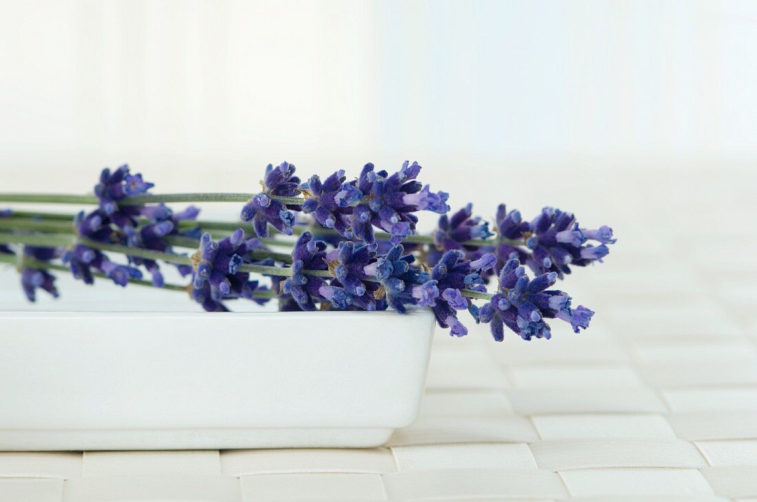 Lavender flowers in a bowl
