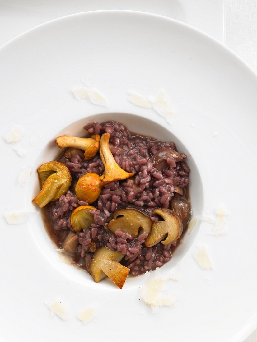 Wild mushroom risotto with red wine
