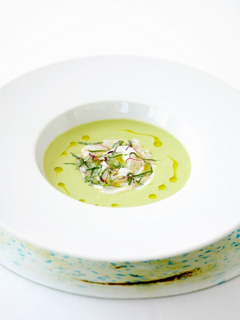 Cold avocado soup