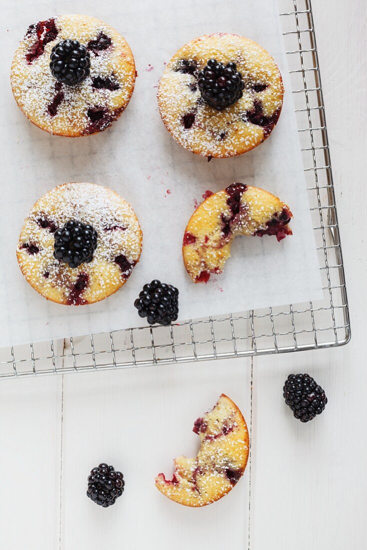 Gebackene Brombeer-Doughnuts