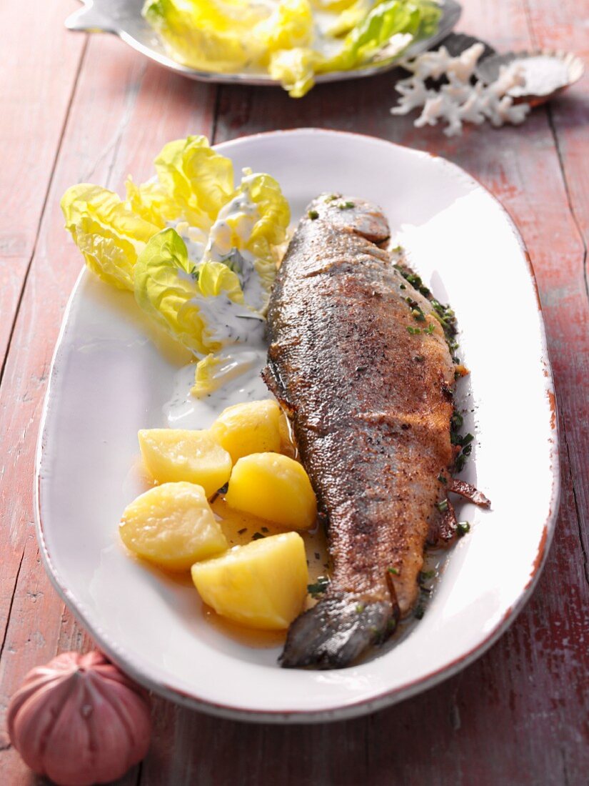 Fried trout with new potatoes