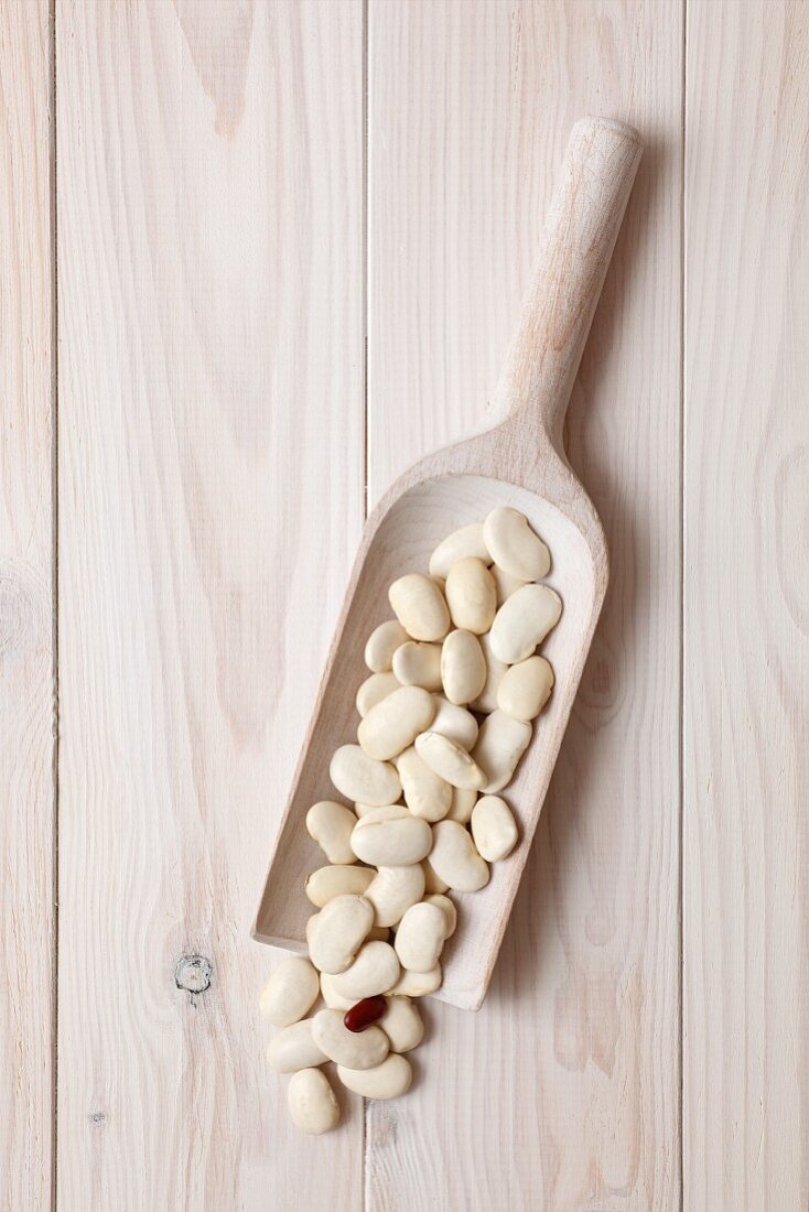 White beans on a wooden scoop
