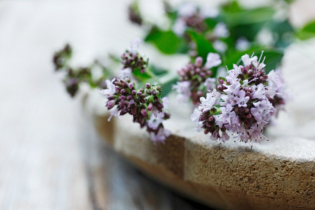 Marjoram with flowers in a wooden bowl (close-up)