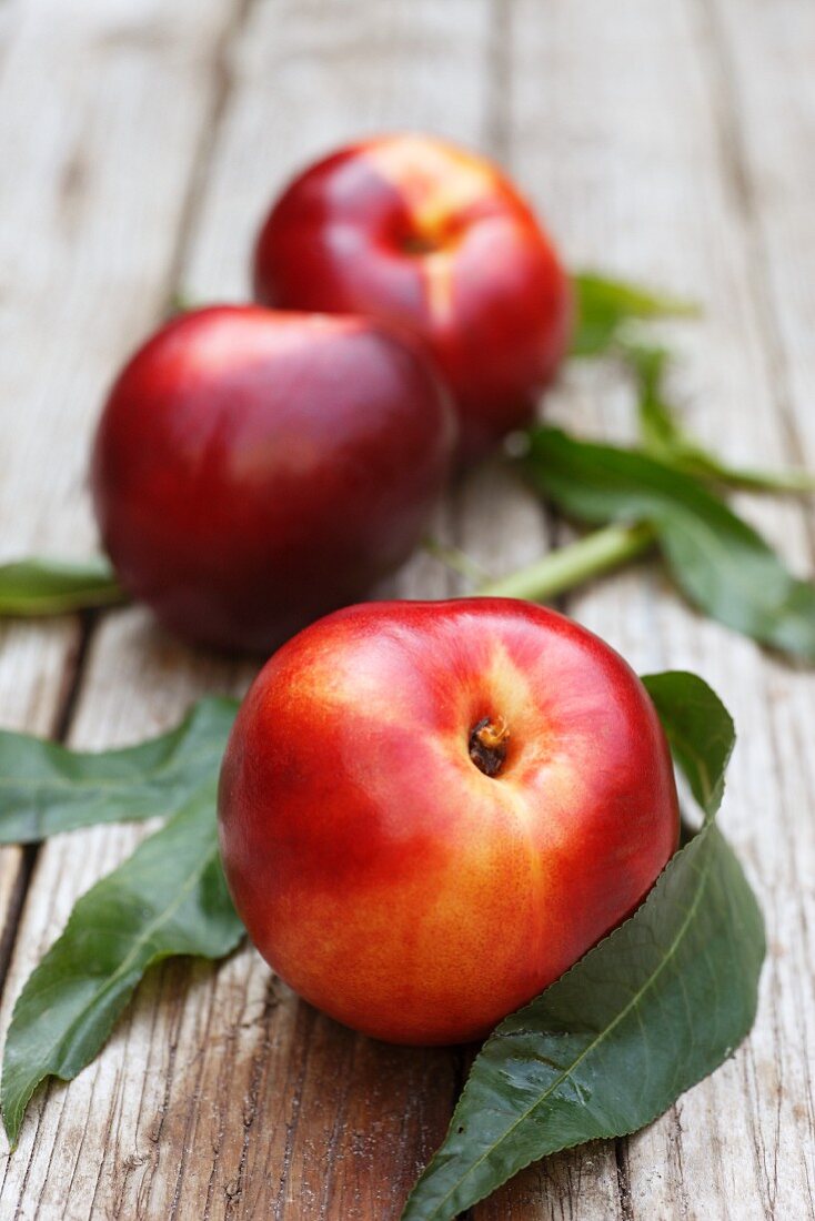 Nectarines with leaves