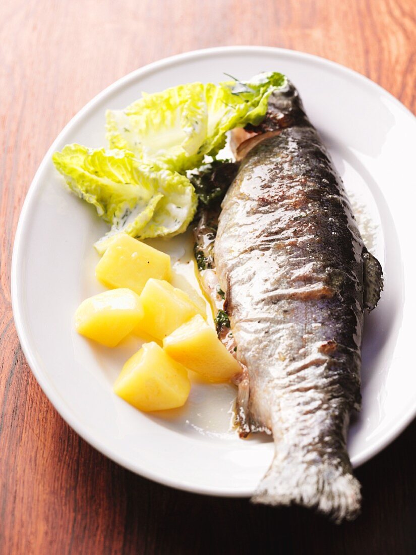 Steamed trout with potatoes and mayonnaise