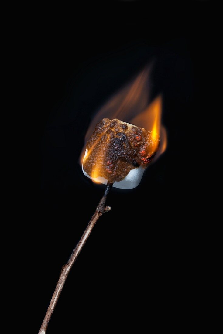 Burning Marshmallow on a Stick