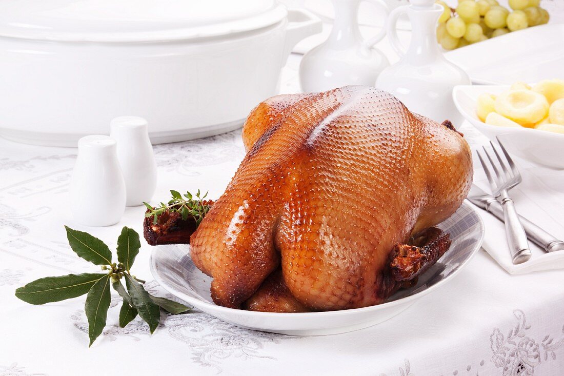 Festive roast goose