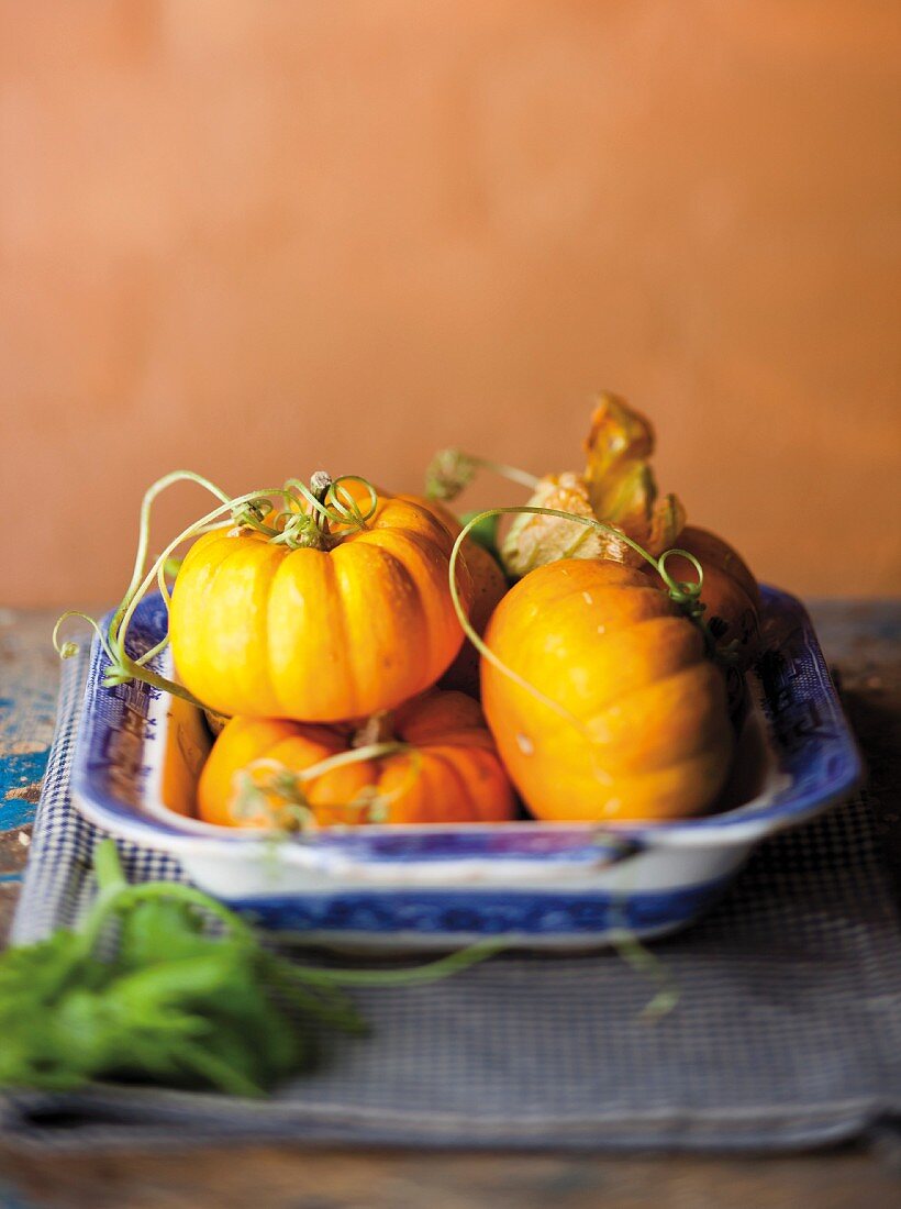 Stillleben mit orangefarbenen Kürbissen