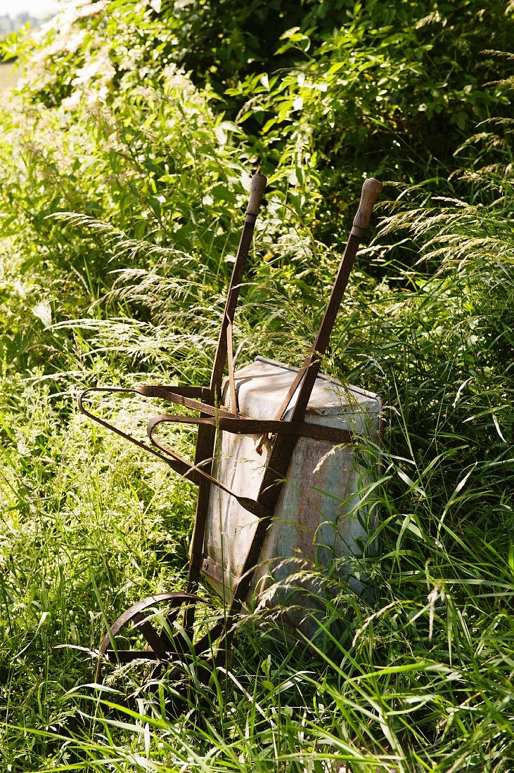 Antique wheelbarrow tipped on end in long grass of sunny meadow