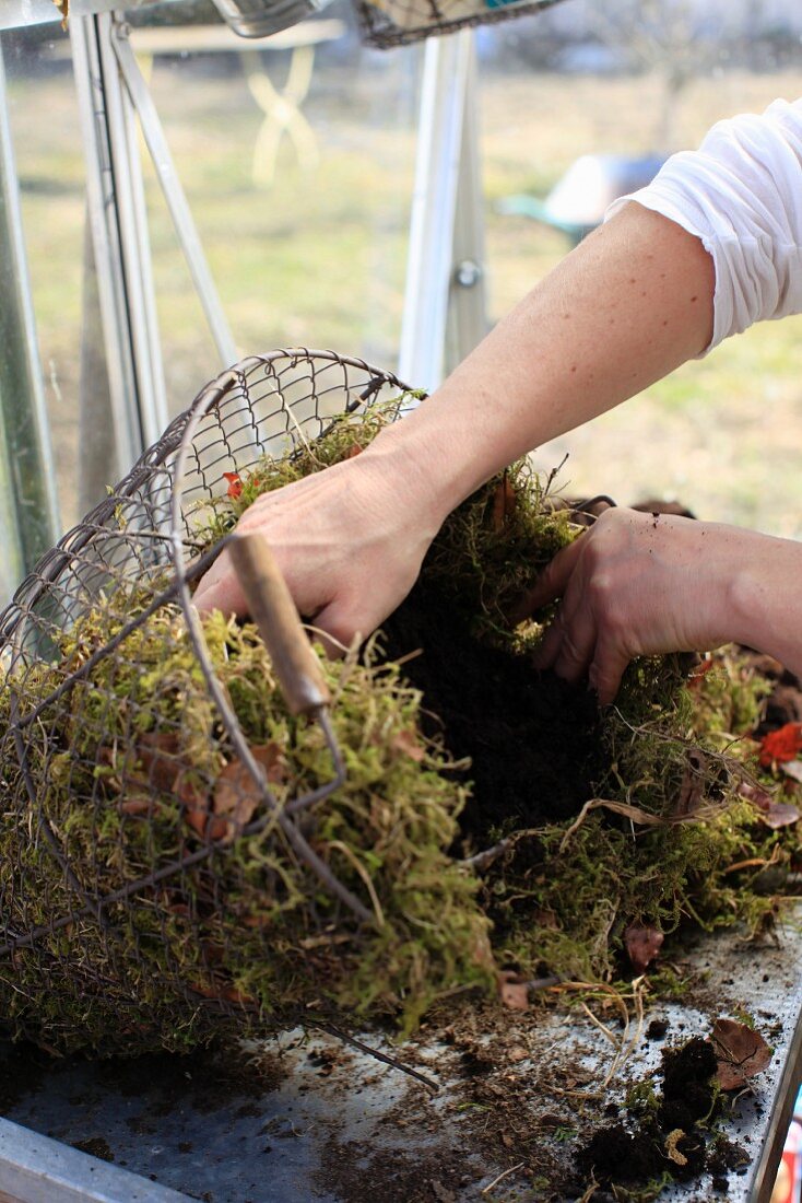 Lining a wire basket with moss