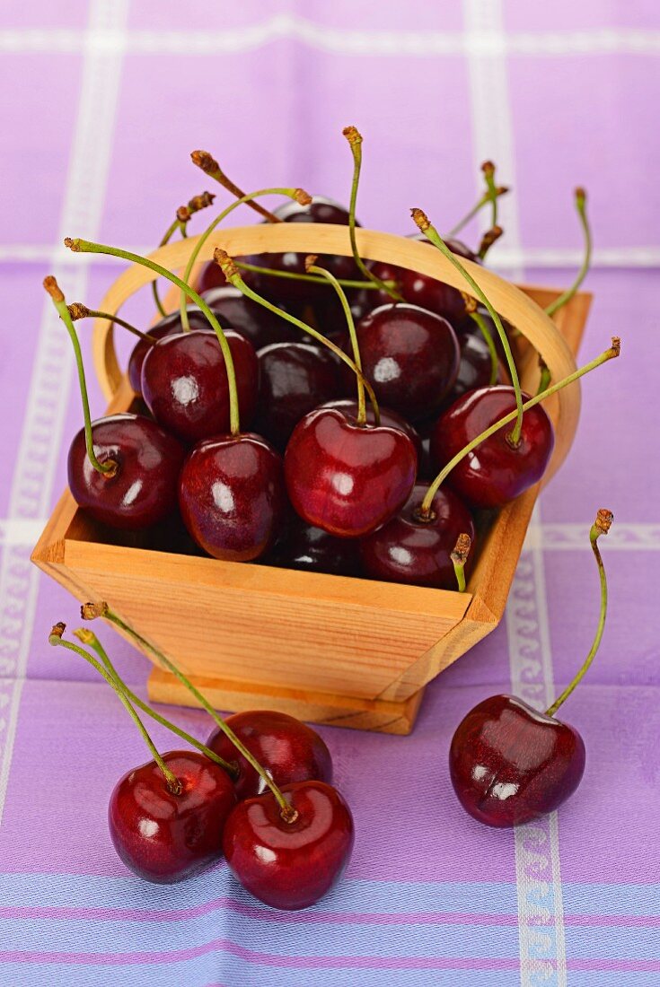 Cherries in a wooden basket