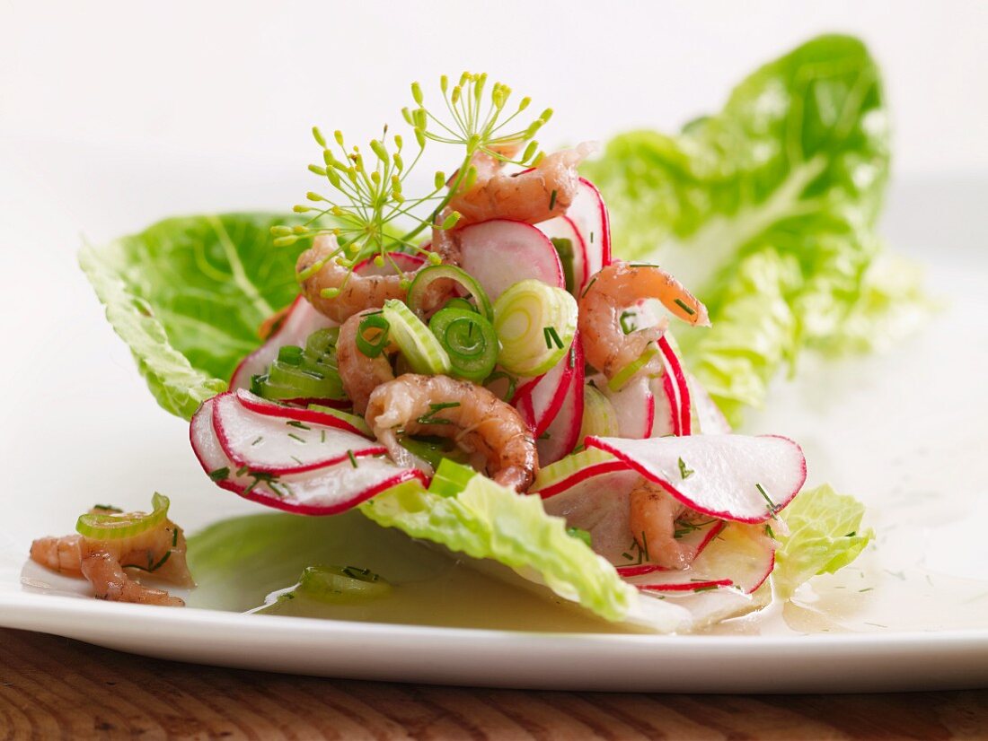 Radish salad with prawns and spring onions