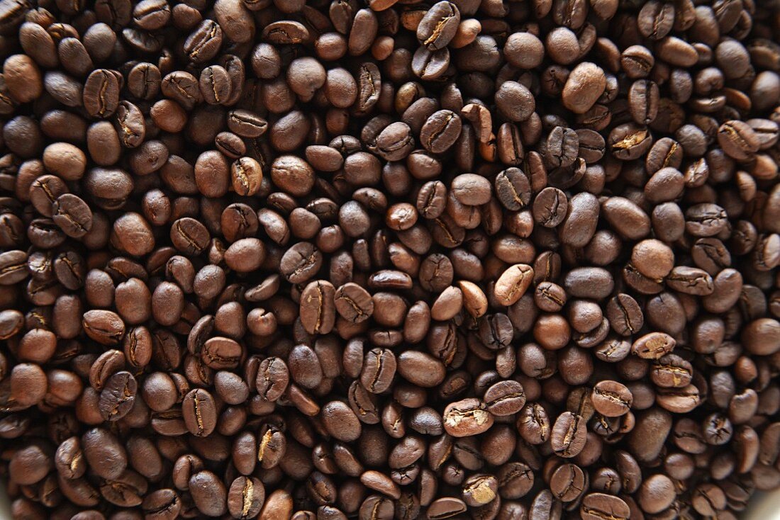 Viele Kaffeebohnen (bildfüllend)