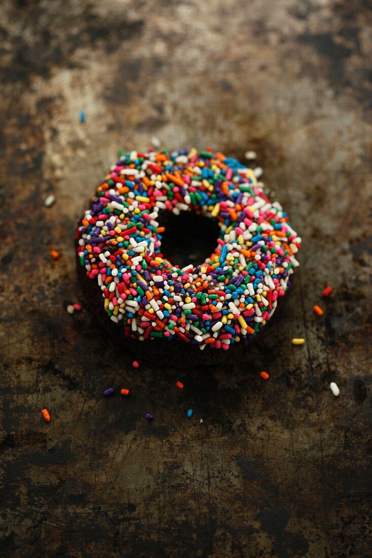 A chocolate doughnut with colourful sugar sprinkles