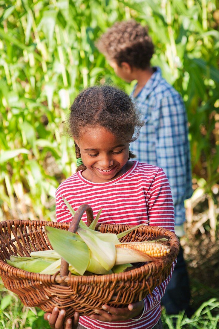 Children in a corn field
