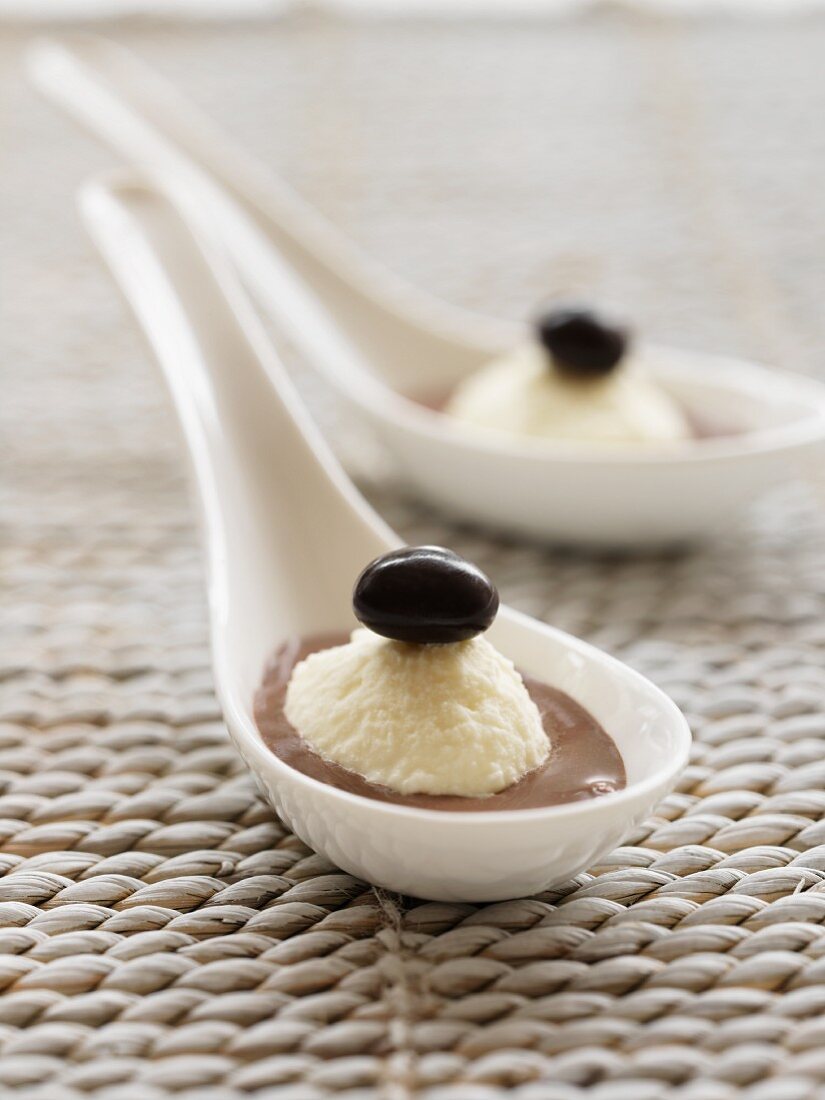 White chocolate mousse in a dark chocolate sauce