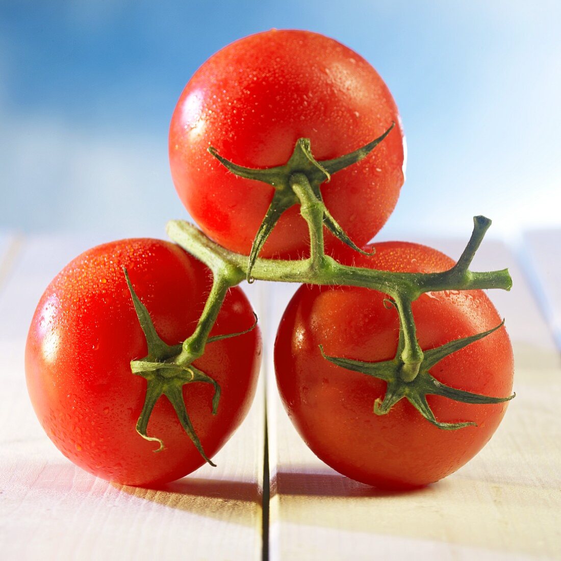 Three fresh, wet vine tomatoes