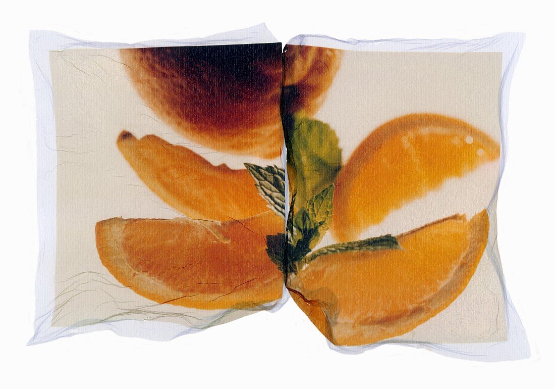 Orangenschnitze, Orange und Minzeblätter auf Fotodruck