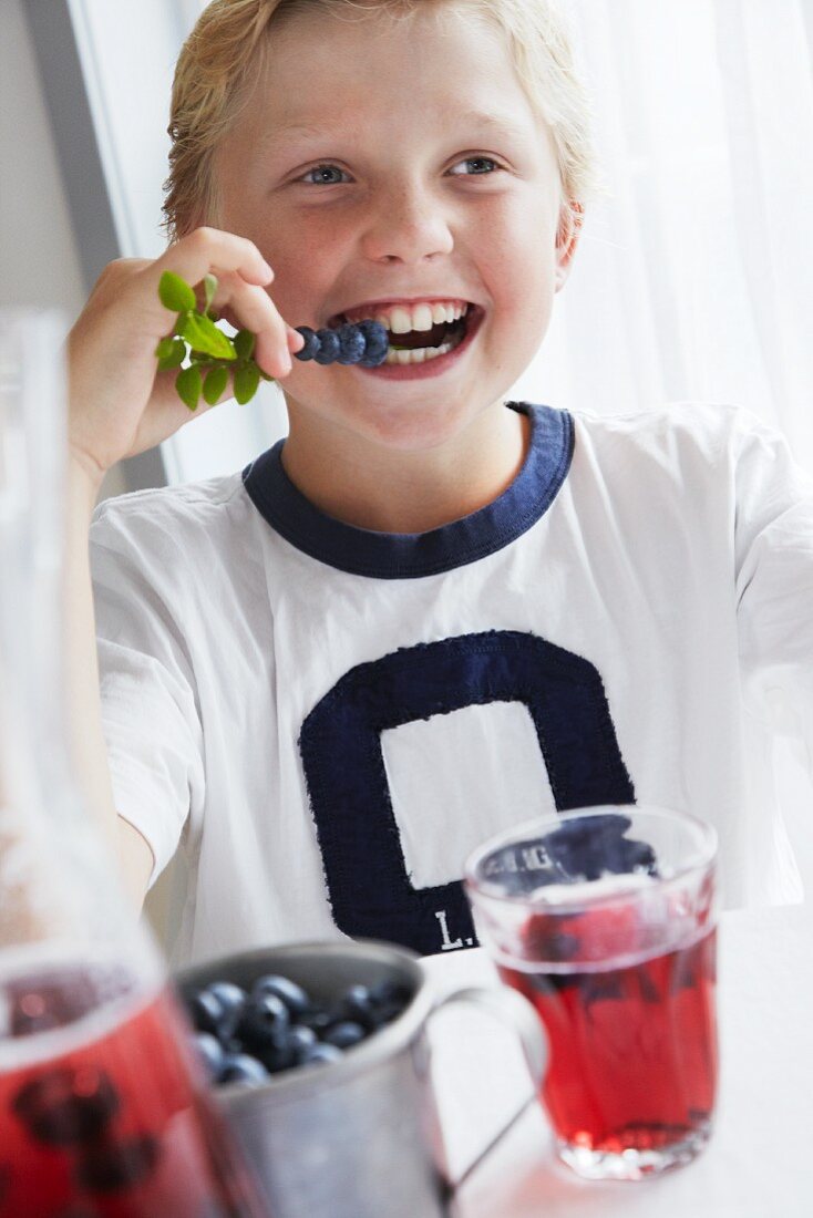 A boy eating fresh blueberries