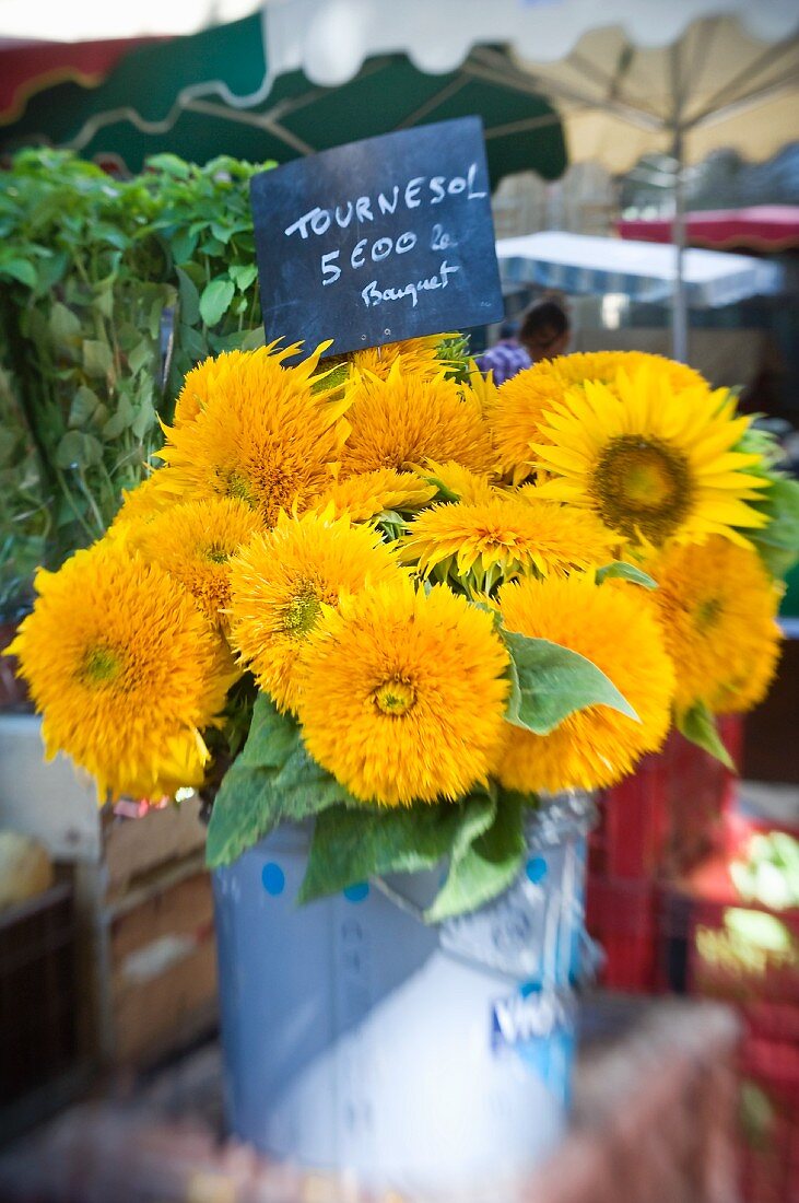 Gefüllte Sonnenblumen im Eimer auf Marktstand