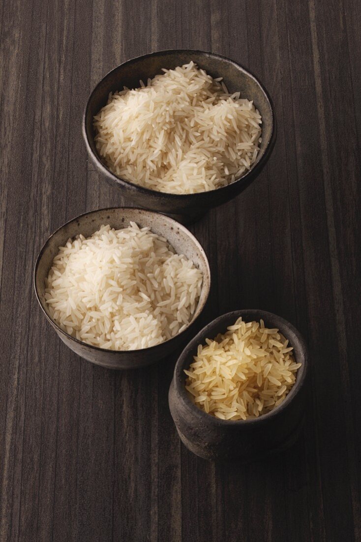 Various types of rice