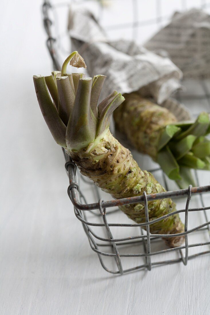 Wasabi roots in a wire basket