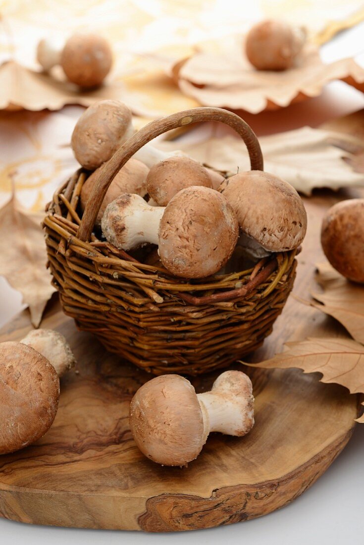 Brown mushrooms in a basket with autumnal leaves
