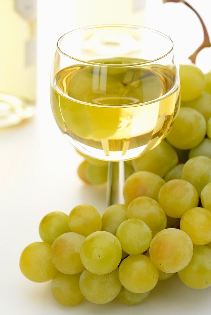 A glass of white wine with a bunch of green grapes
