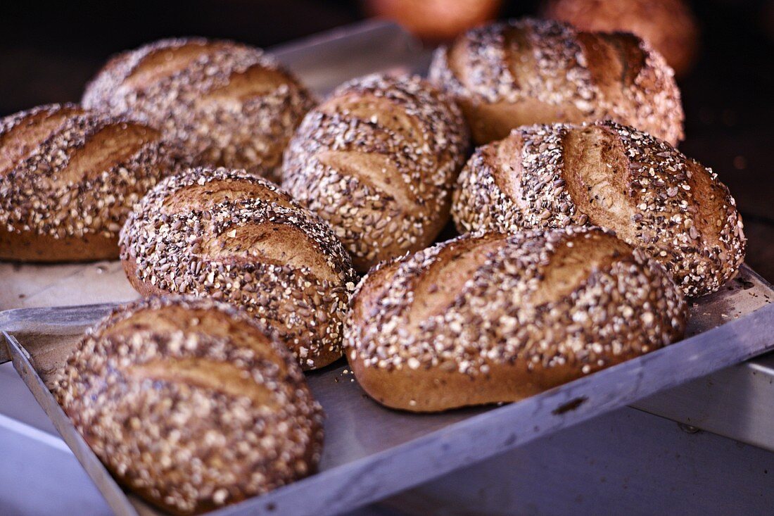 Seeded rolls with poppy seeds on a baking tray