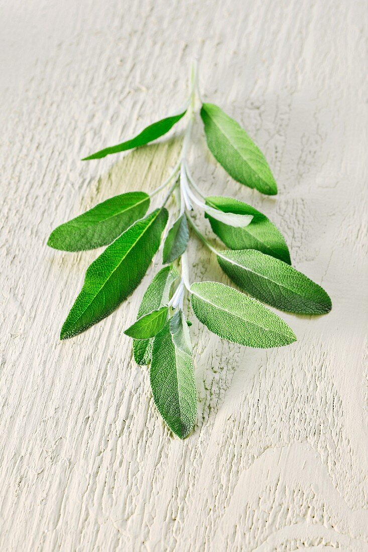 A sprig of sage