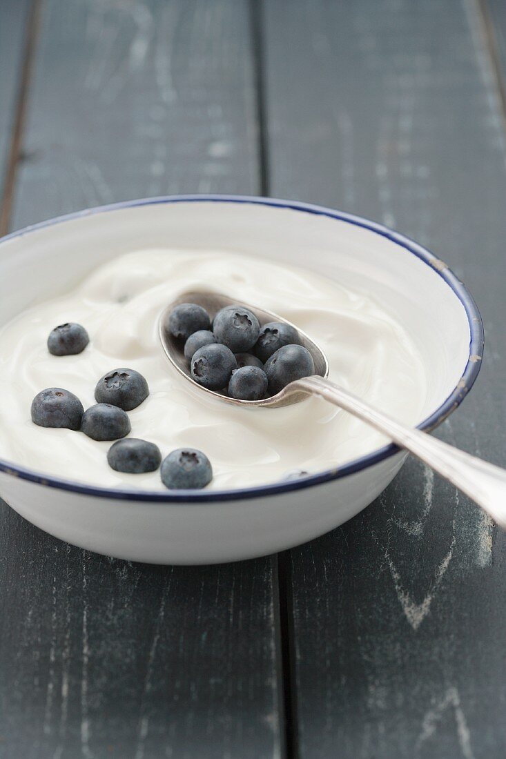 Joghurt mit Blaubeeren in einer weissen Email-Schale