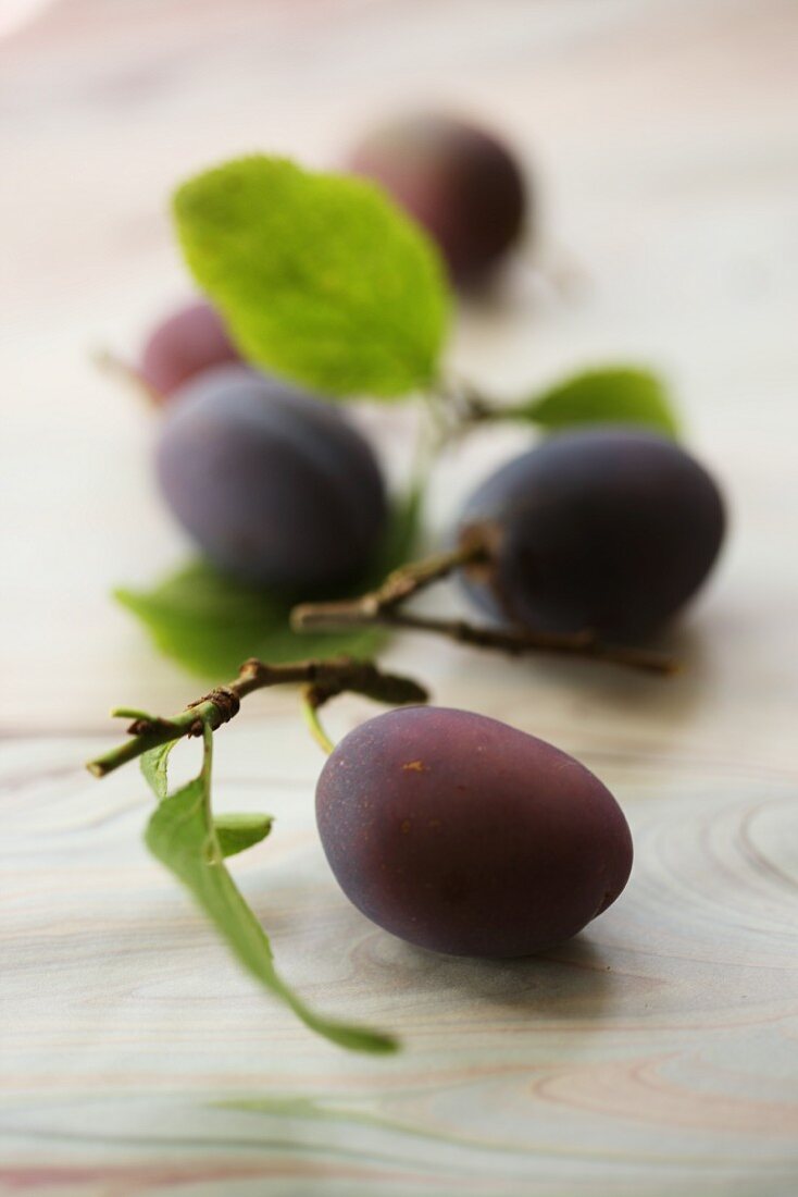 Plums with leaves