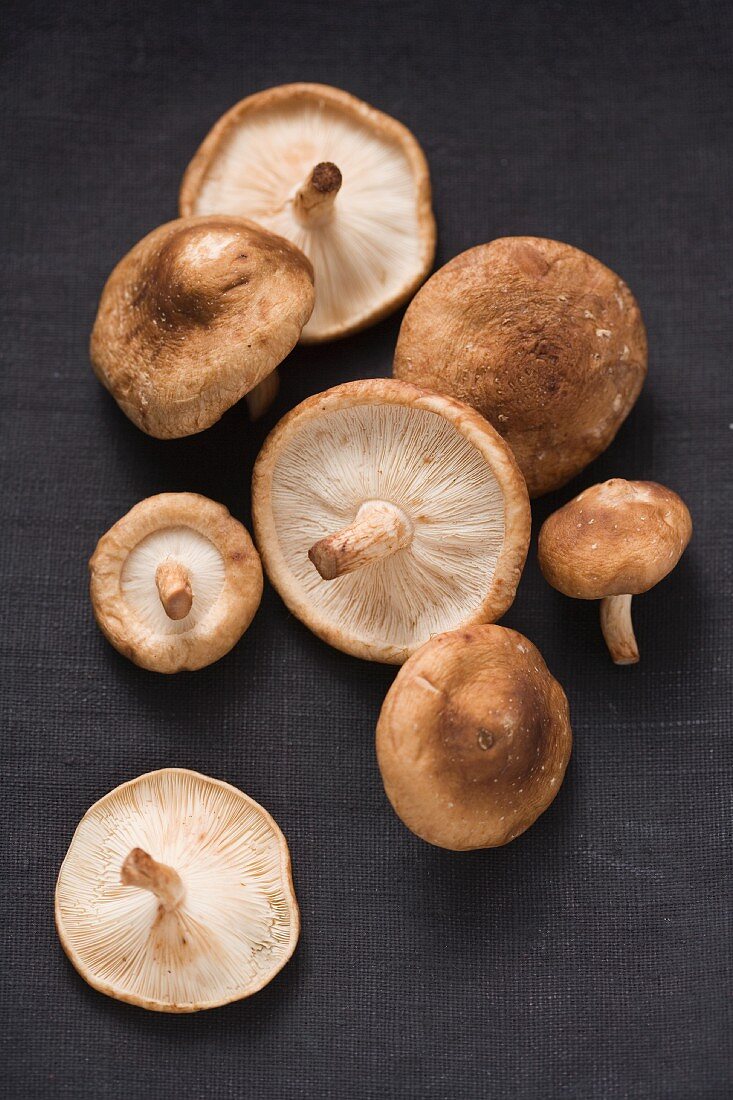 Whole Shiitake Mushrooms on White