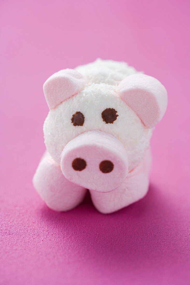 Schweinchen aus Kokos-Schaumzucker auf pinkfarbenem Untergrund