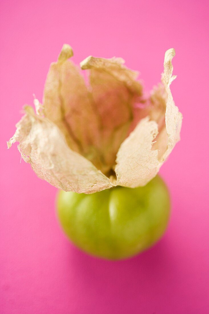 Tomatillo with a husk on a pink surface